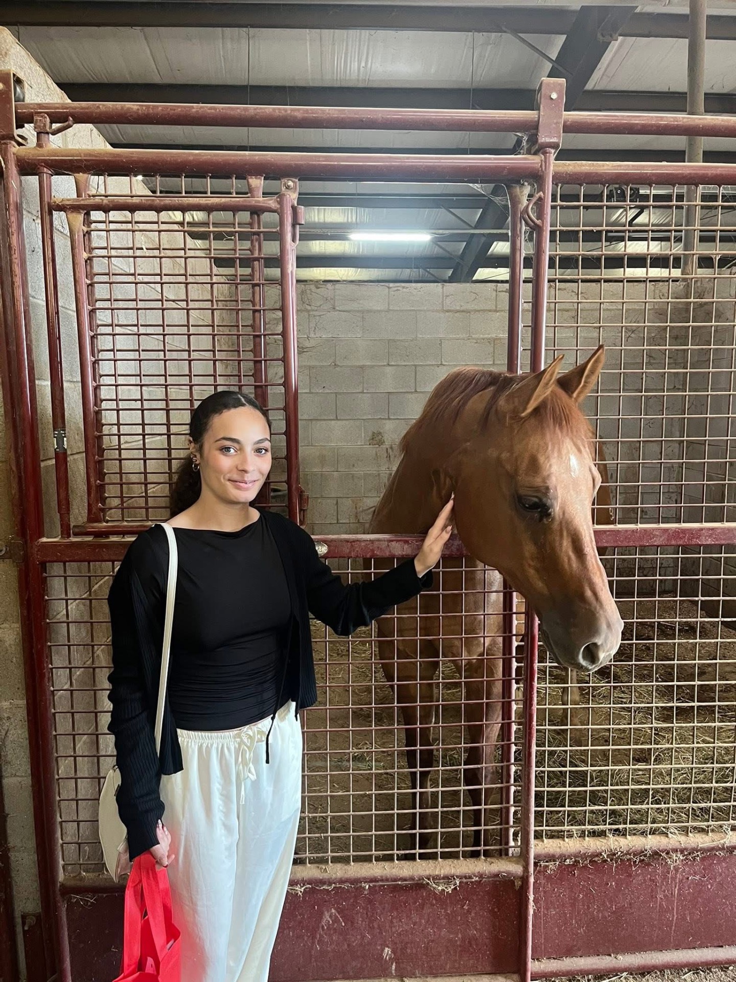 Brooklyn with a horse